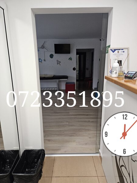 Fizioterapeut cu experienta kinetoterapie pediatrica, oferta colaborare